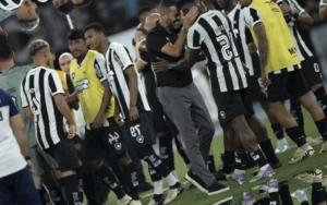 Botafogo: As Novas Contratações e os Possíveis Acertos para o Time