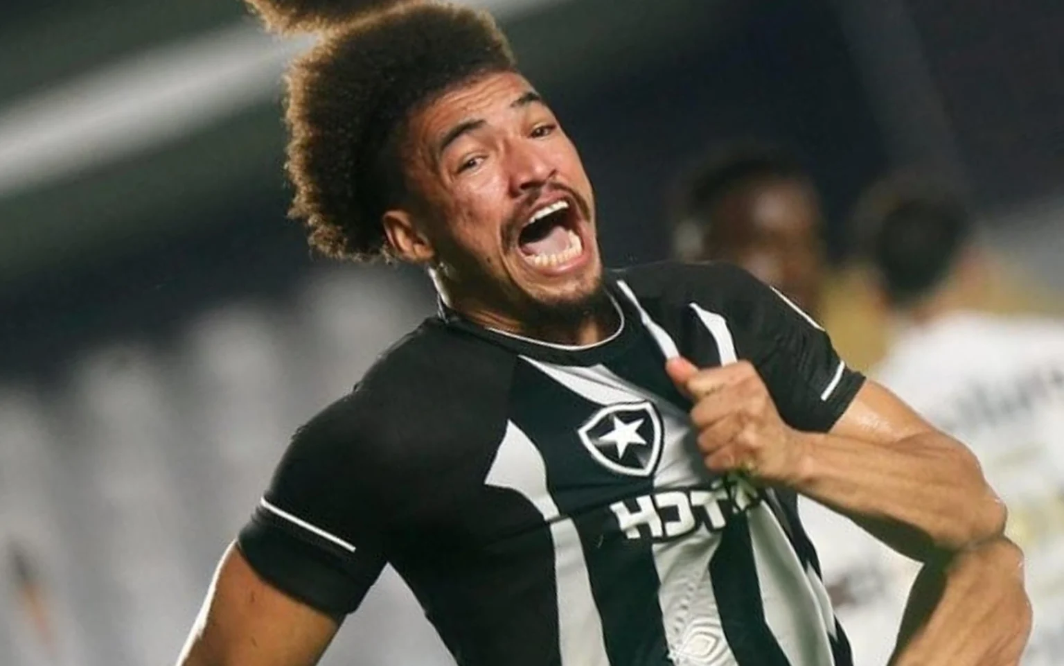 De volta ao Botafogo