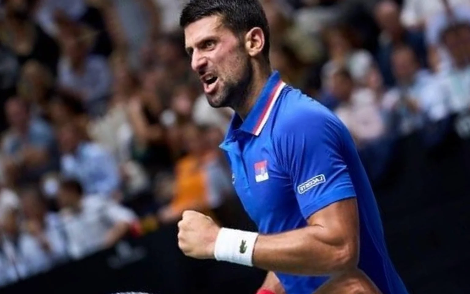 Djokovic não joga diante da República Tcheca na Copa Davis Djokovic comemora na Copa Davis / Crédito: TennisHQ