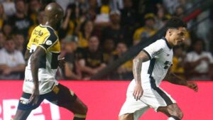 Botafogo x Criciúma AO VIVO Brasileirão Série A Transmissão